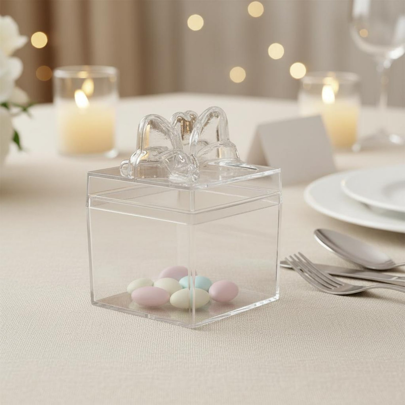Food Storage Boxes - Transparente Plastik-Süßigkeitenbox mit Band Mehrzweck Durchsichtige