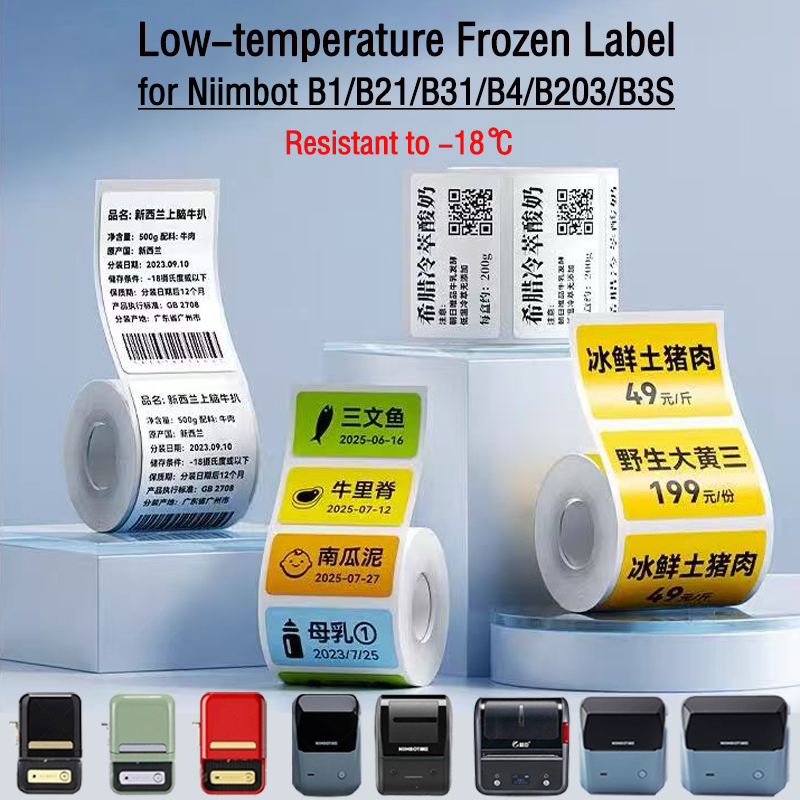 NIIMBOT B1/B2/B21/B31/B4/B203/ – Food Storage Label Bewertung und Preis