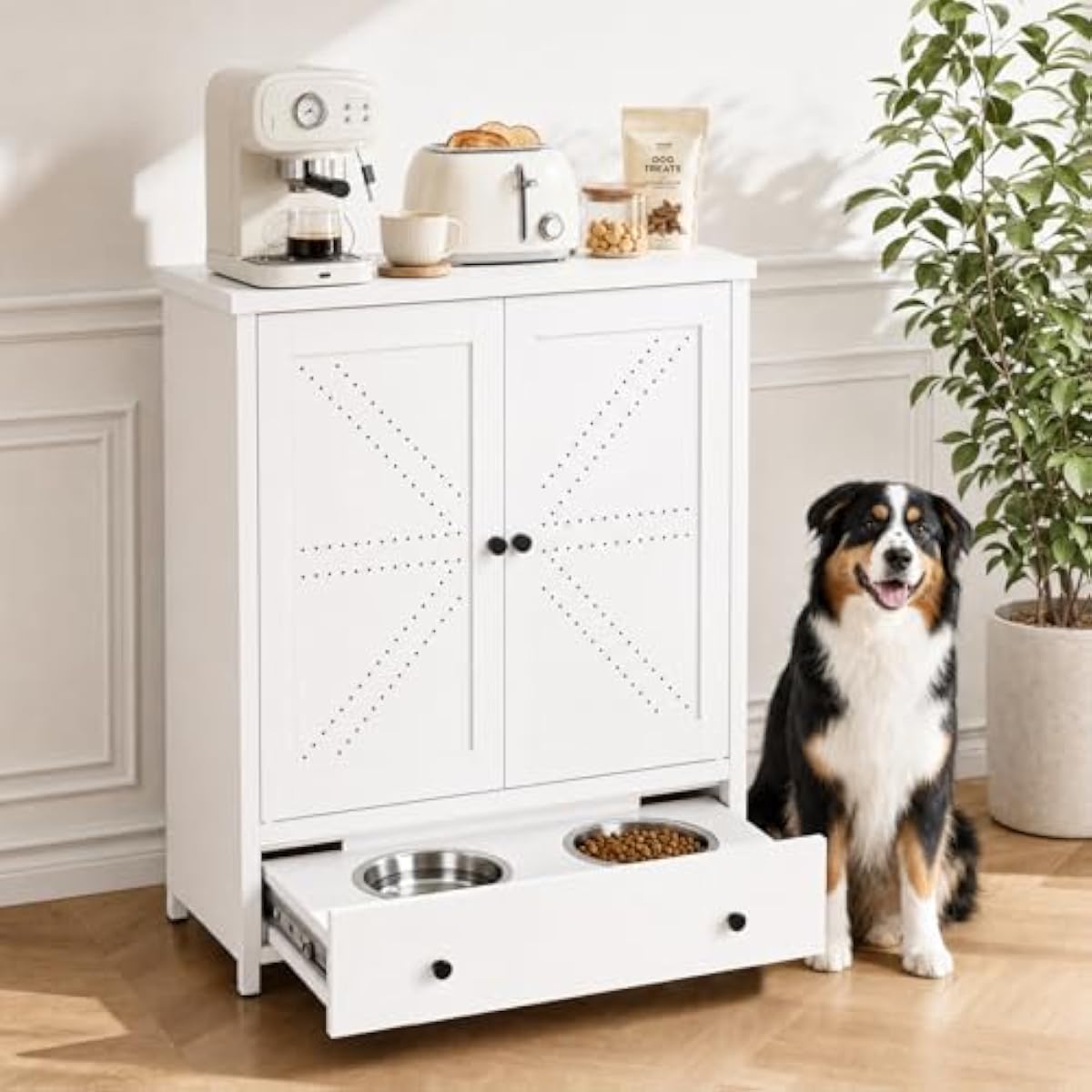 Metall-Futterstation für Haust – Food Storage Design Bewertung und Preis