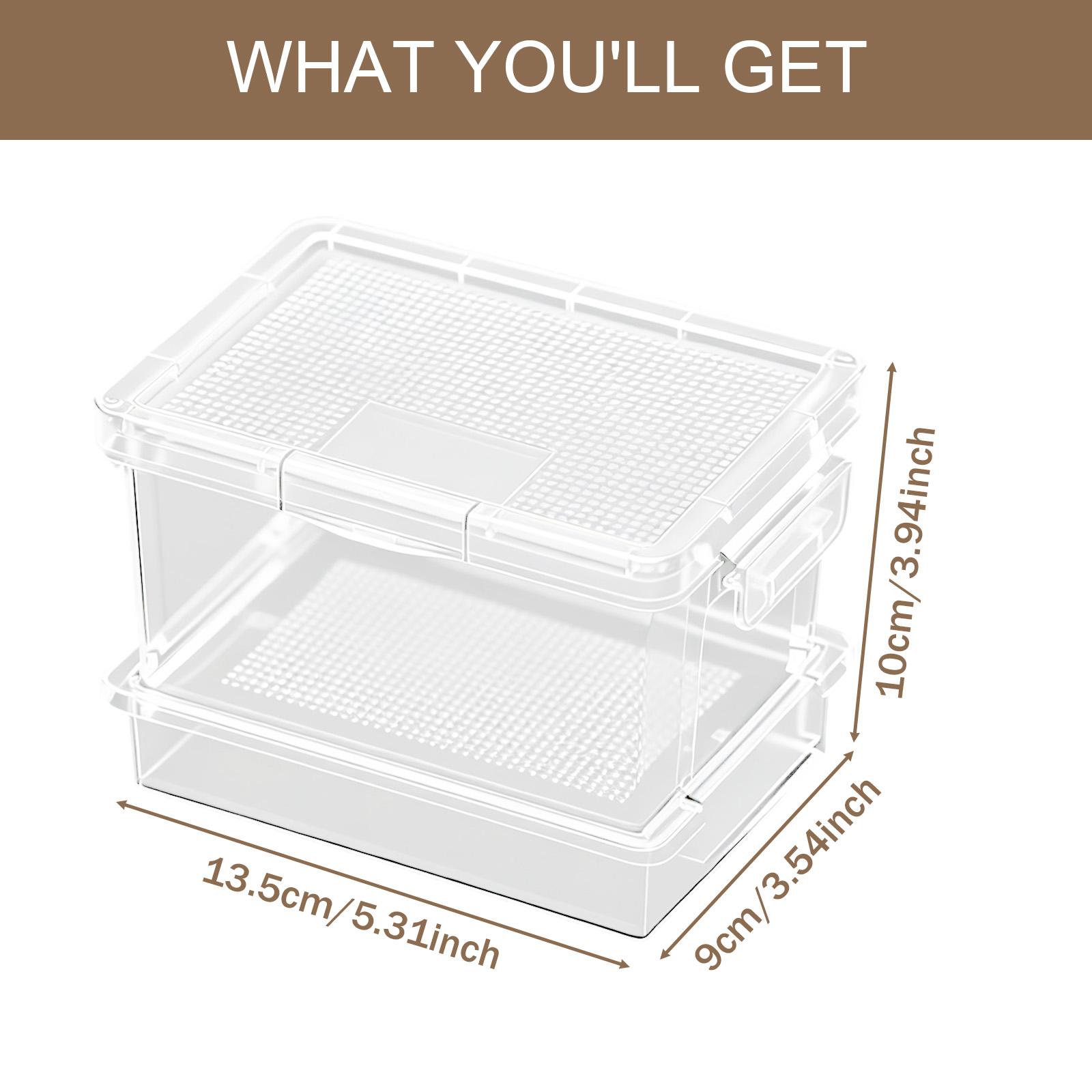 Kunststoff-Schildkrötenfutterb – Food Storage Boxes Bewertung und Preis