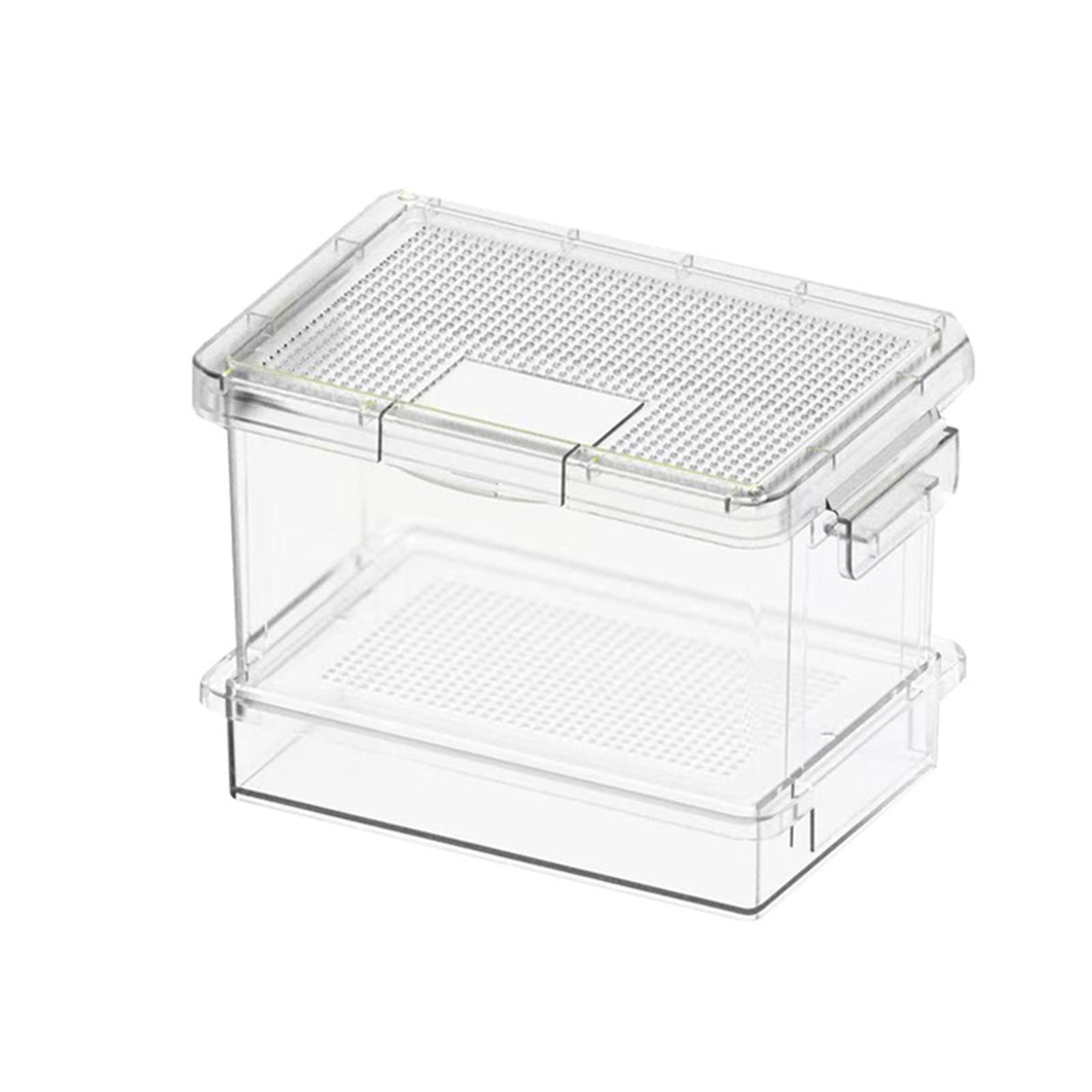 Kunststoff-Schildkrötenfutterb – Food Storage Boxes Bewertung und Preis