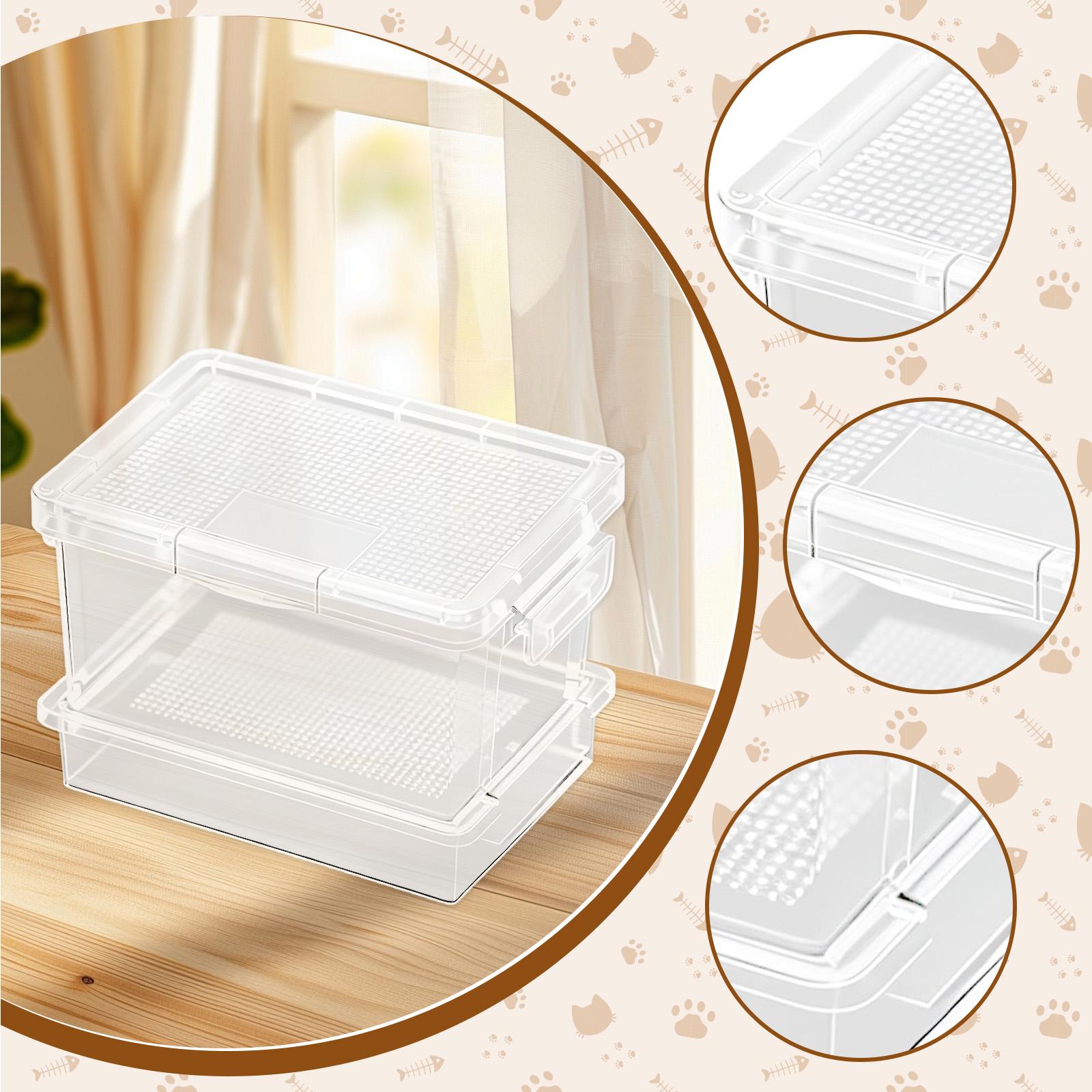 Kunststoff-Schildkrötenfutterb – Food Storage Boxes Bewertung und Preis