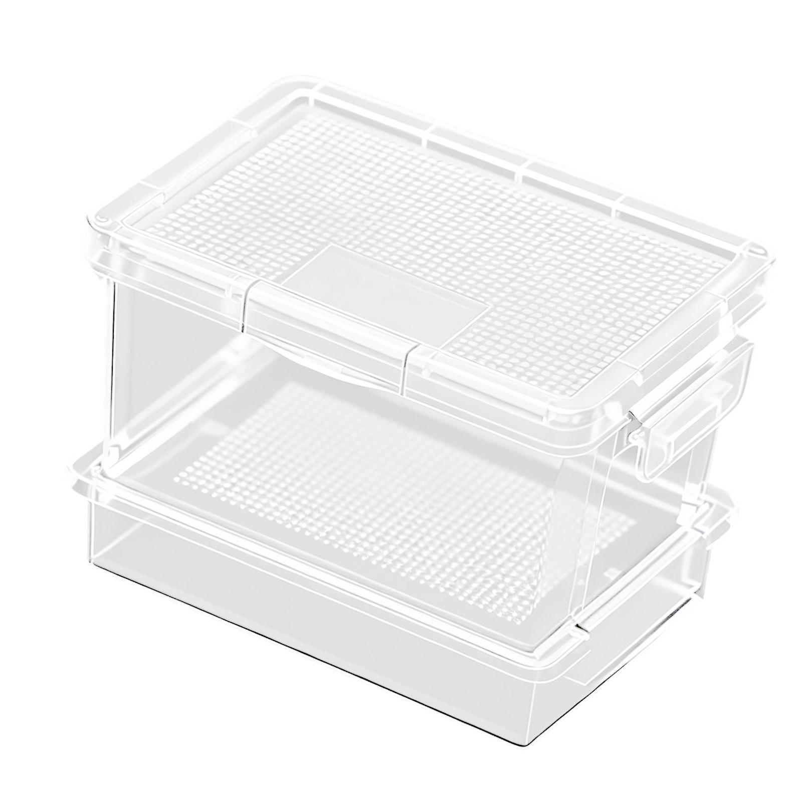 Kunststoff-Schildkrötenfutterb – Food Storage Boxes Bewertung und Preis