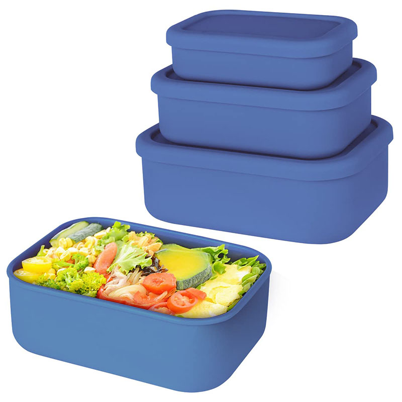 Auslaufsichere Bento-Lunchbox, – Food Storage Design Bewertung und Preis