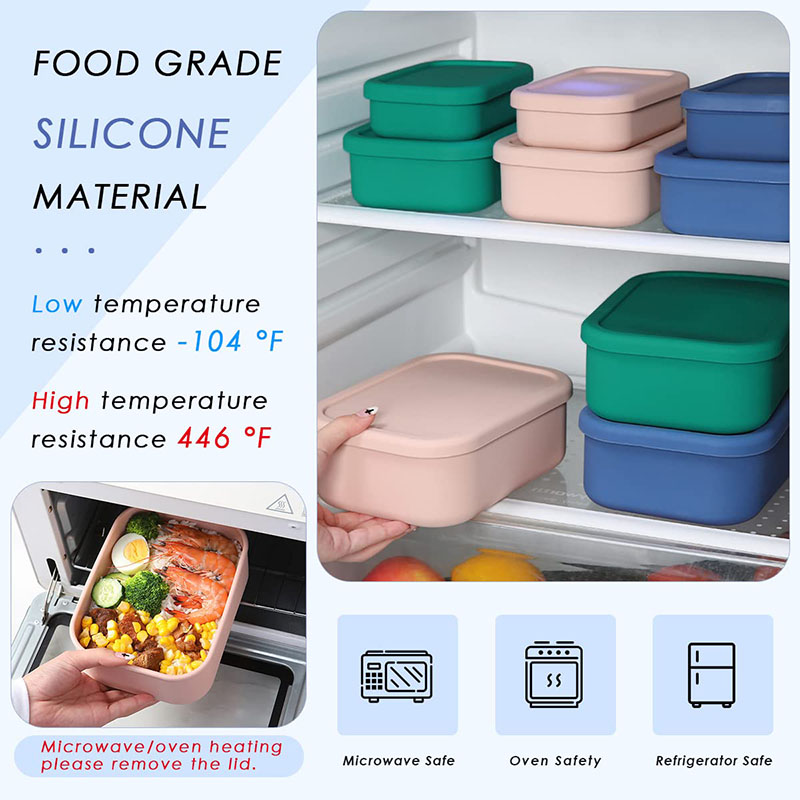 Auslaufsichere Bento-Lunchbox, – Food Storage Design Bewertung und Preis