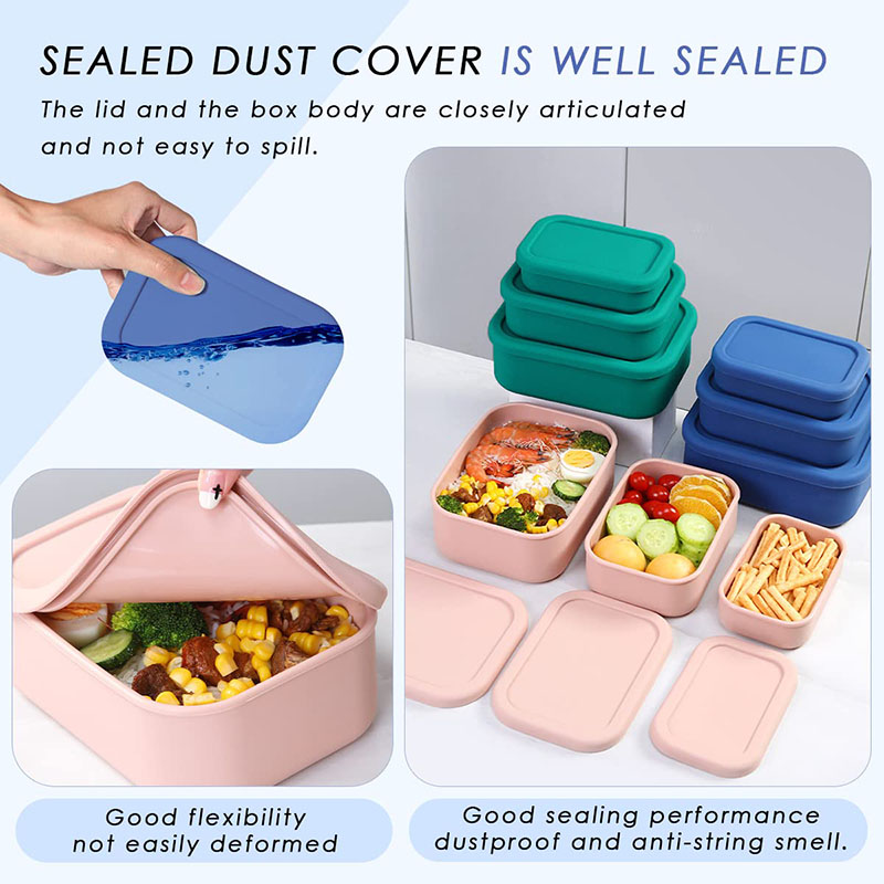 Auslaufsichere Bento-Lunchbox, – Food Storage Design Bewertung und Preis